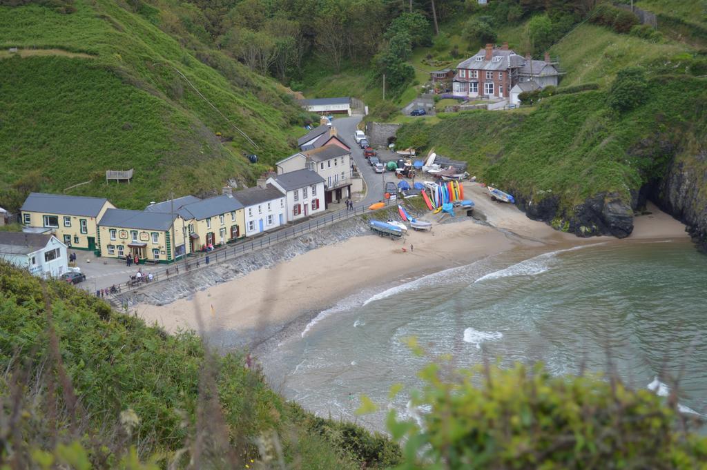 Troedyrhiw Bed & Breakfast Cardigan Eksteriør bilde